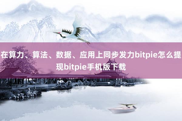 在算力、算法、数据、应用上同步发力bitpie怎么提现bitpie手机版下载