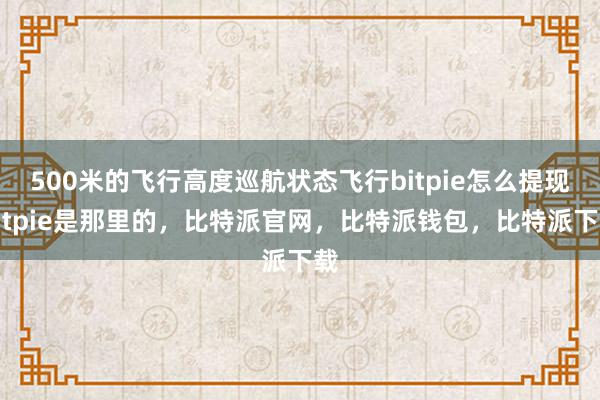 500米的飞行高度巡航状态飞行bitpie怎么提现bitpie是那里的，比特派官网，比特派钱包，比特派下载