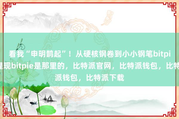 看我“申明鹊起”！从硬核钢卷到小小钢笔bitpie怎么提现bitpie是那里的，比特派官网，比特派钱包，比特派下载