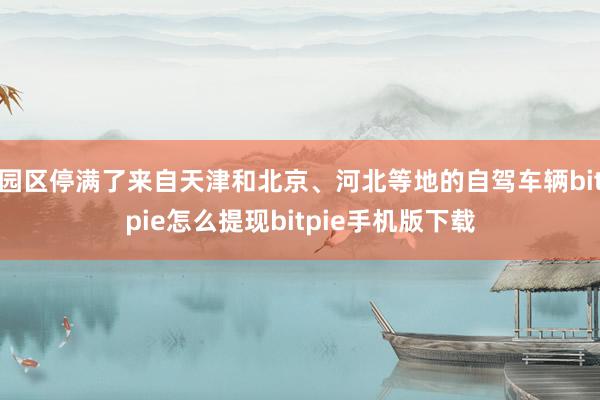 园区停满了来自天津和北京、河北等地的自驾车辆bitpie怎么提现bitpie手机版下载