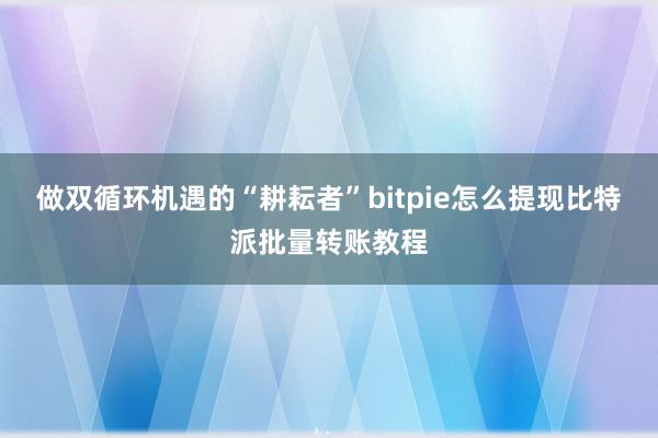 做双循环机遇的“耕耘者”bitpie怎么提现比特派批量转账教程