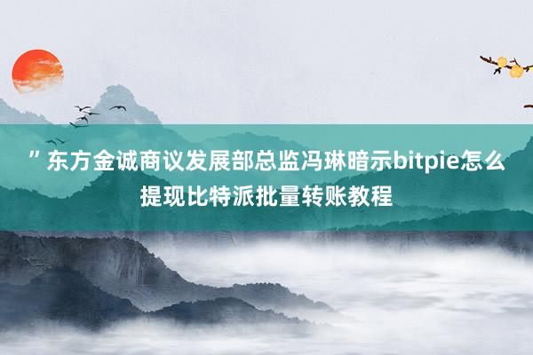 ”东方金诚商议发展部总监冯琳暗示bitpie怎么提现比特派批量转账教程