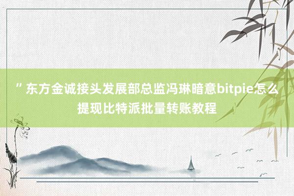 ”东方金诚接头发展部总监冯琳暗意bitpie怎么提现比特派批量转账教程