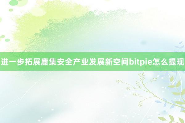 进一步拓展麇集安全产业发展新空间bitpie怎么提现