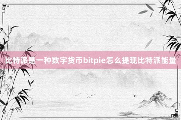 比特派是一种数字货币bitpie怎么提现比特派能量