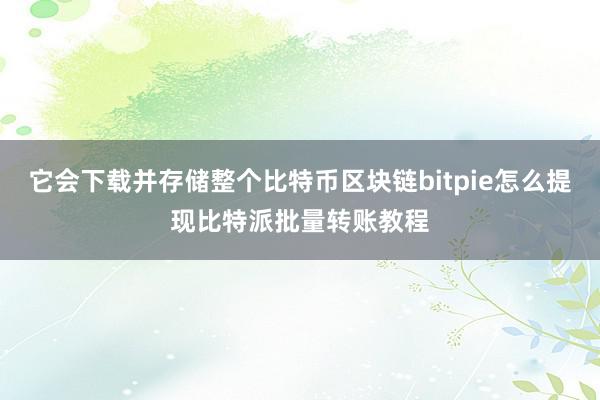 它会下载并存储整个比特币区块链bitpie怎么提现比特派批量转账教程