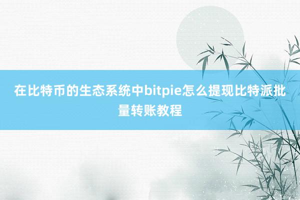 在比特币的生态系统中bitpie怎么提现比特派批量转账教程