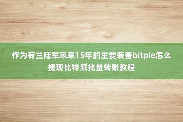 作为荷兰陆军未来15年的主要装备bitpie怎么提现比特派批量转账教程