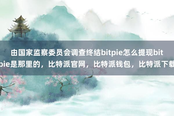 由国家监察委员会调查终结bitpie怎么提现bitpie是那里的，比特派官网，比特派钱包，比特派下载