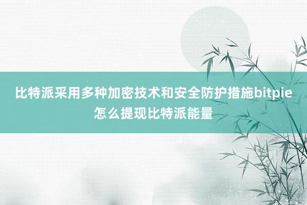 比特派采用多种加密技术和安全防护措施bitpie怎么提现比特派能量