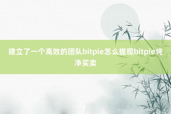 建立了一个高效的团队bitpie怎么提现bitpie纯净买卖