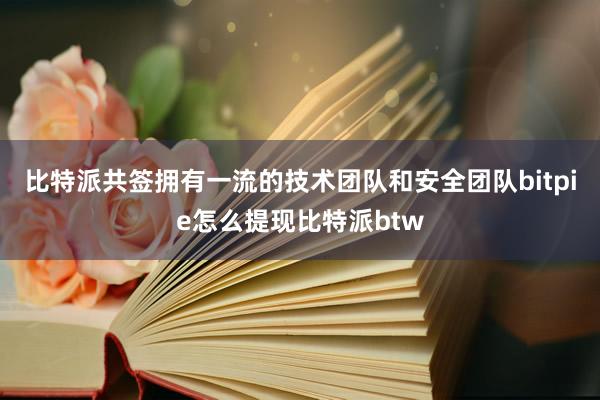 比特派共签拥有一流的技术团队和安全团队bitpie怎么提现比特派btw