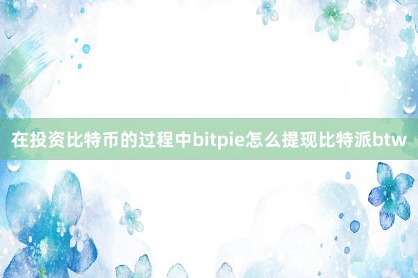 在投资比特币的过程中bitpie怎么提现比特派btw