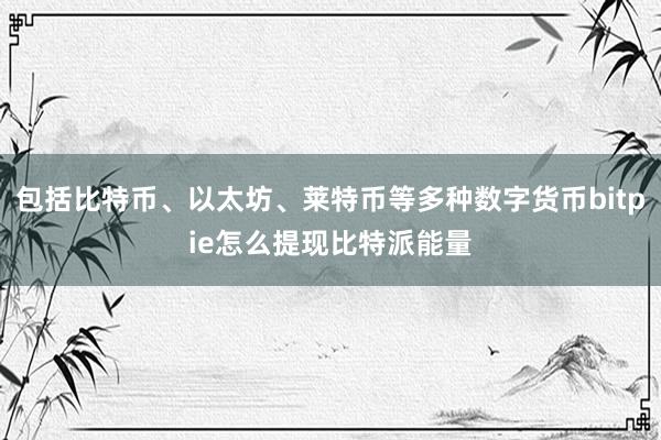 包括比特币、以太坊、莱特币等多种数字货币bitpie怎么提现比特派能量