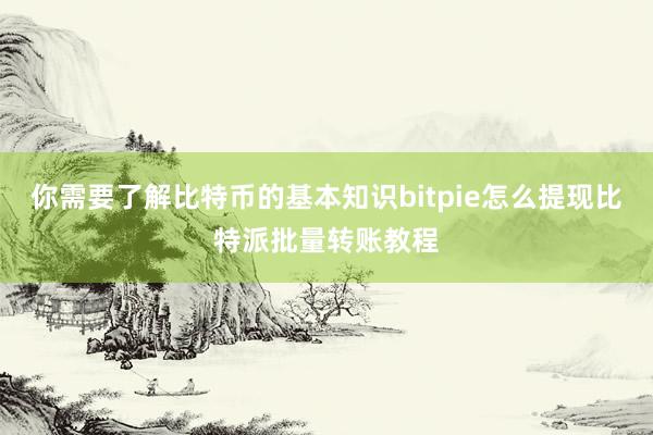 你需要了解比特币的基本知识bitpie怎么提现比特派批量转账教程