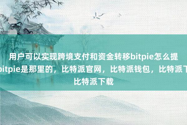 用户可以实现跨境支付和资金转移bitpie怎么提现bitpie是那里的，比特派官网，比特派钱包，比特派下载