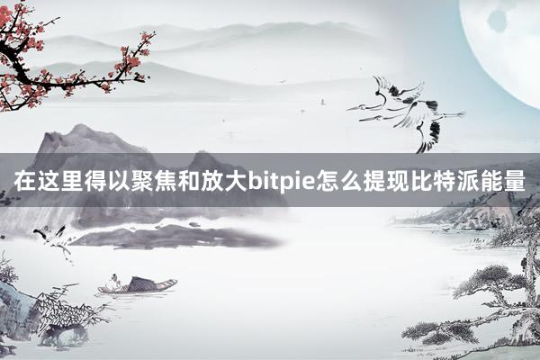 在这里得以聚焦和放大bitpie怎么提现比特派能量