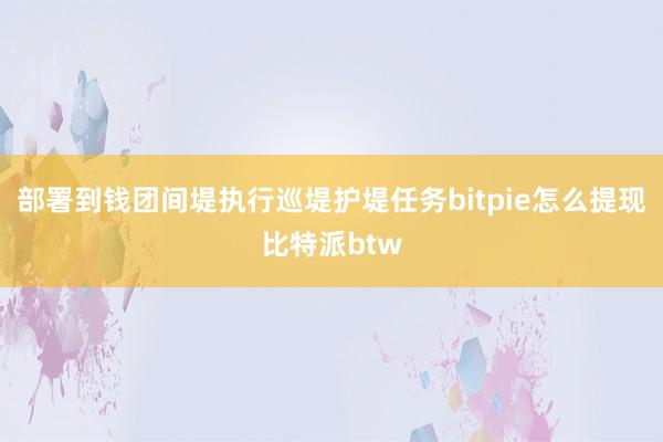 部署到钱团间堤执行巡堤护堤任务bitpie怎么提现比特派btw