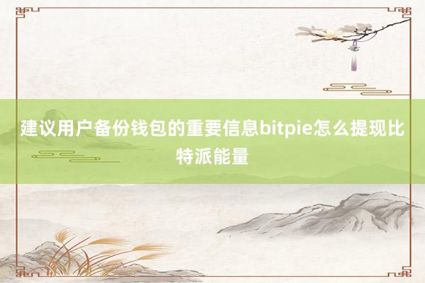 建议用户备份钱包的重要信息bitpie怎么提现比特派能量