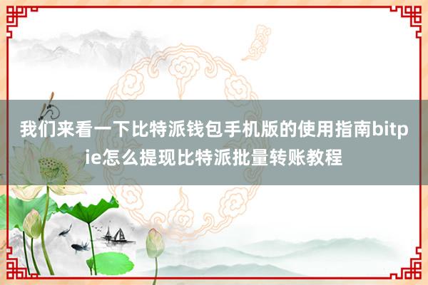 我们来看一下比特派钱包手机版的使用指南bitpie怎么提现比特派批量转账教程