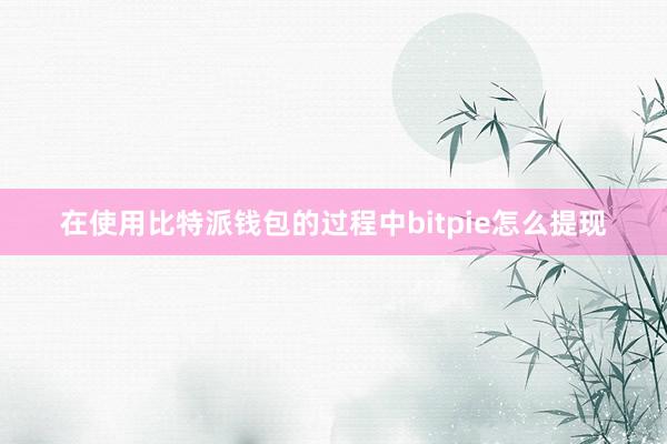 在使用比特派钱包的过程中bitpie怎么提现