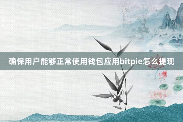 确保用户能够正常使用钱包应用bitpie怎么提现