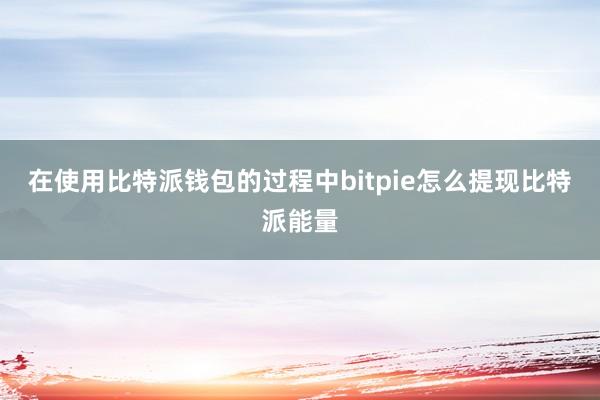 在使用比特派钱包的过程中bitpie怎么提现比特派能量