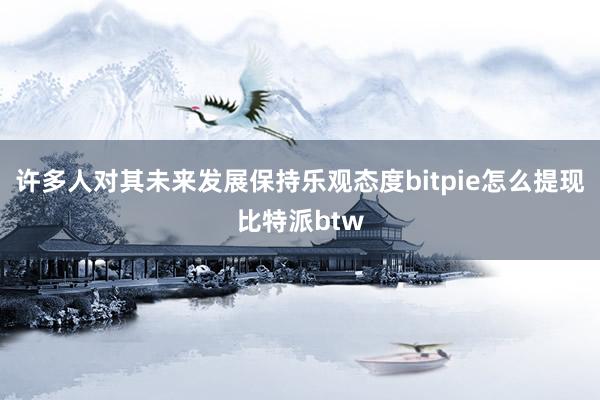 许多人对其未来发展保持乐观态度bitpie怎么提现比特派btw