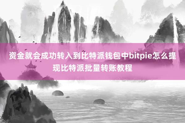 资金就会成功转入到比特派钱包中bitpie怎么提现比特派批量转账教程