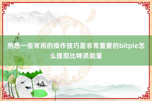 熟悉一些常用的操作技巧是非常重要的bitpie怎么提现比特派能量