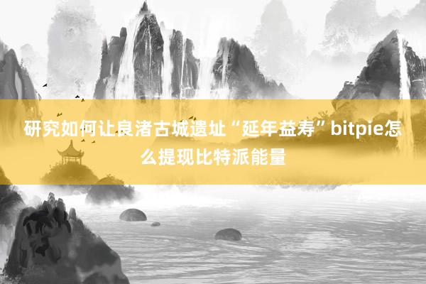 研究如何让良渚古城遗址“延年益寿”bitpie怎么提现比特派能量