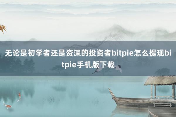 无论是初学者还是资深的投资者bitpie怎么提现bitpie手机版下载