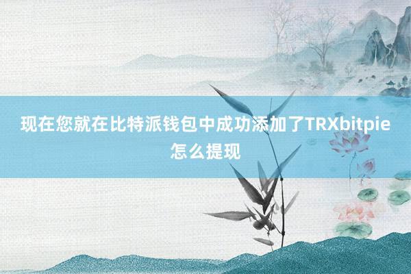 现在您就在比特派钱包中成功添加了TRXbitpie怎么提现