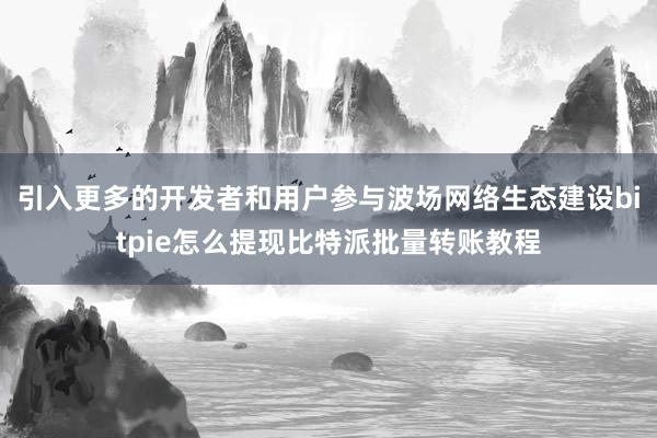 引入更多的开发者和用户参与波场网络生态建设bitpie怎么提现比特派批量转账教程