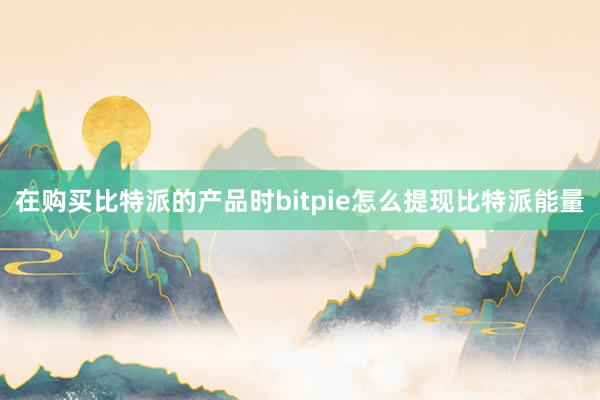 在购买比特派的产品时bitpie怎么提现比特派能量