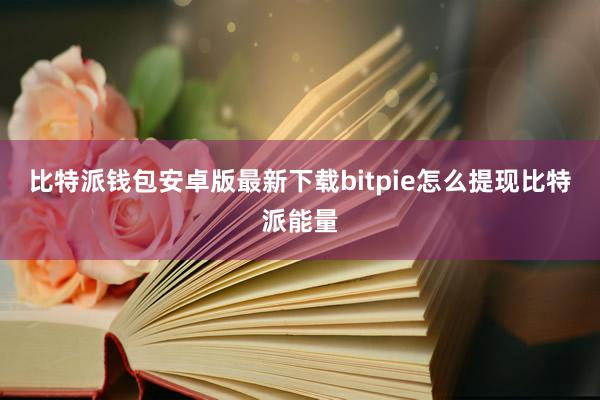 比特派钱包安卓版最新下载bitpie怎么提现比特派能量