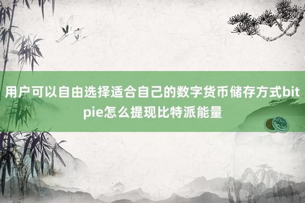 用户可以自由选择适合自己的数字货币储存方式bitpie怎么提现比特派能量