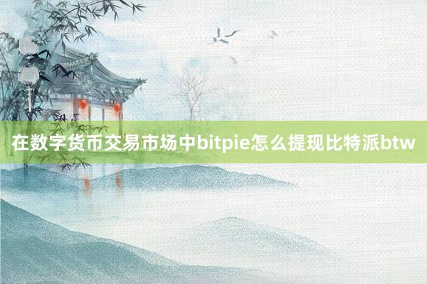 在数字货币交易市场中bitpie怎么提现比特派btw