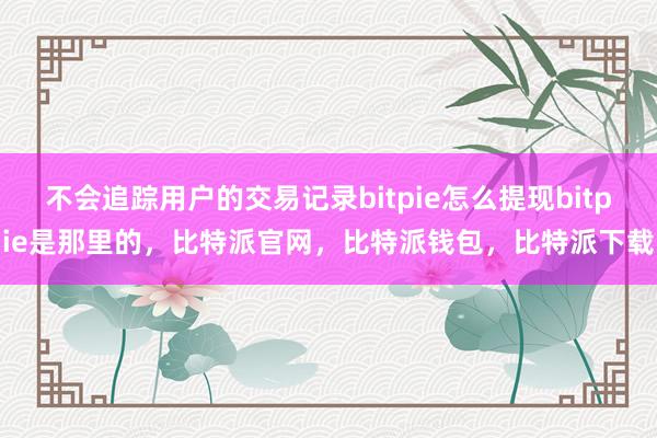 不会追踪用户的交易记录bitpie怎么提现bitpie是那里的，比特派官网，比特派钱包，比特派下载