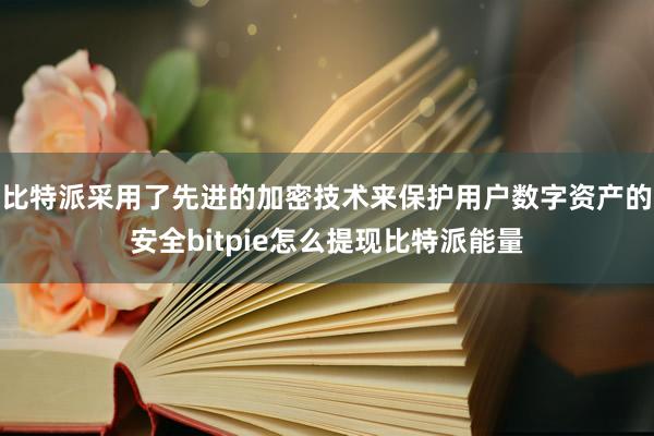 比特派采用了先进的加密技术来保护用户数字资产的安全bitpie怎么提现比特派能量