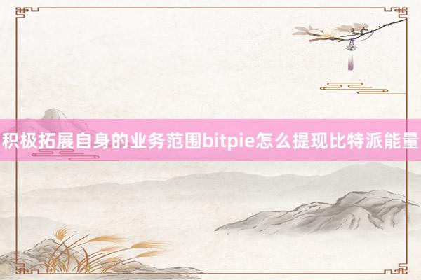 积极拓展自身的业务范围bitpie怎么提现比特派能量