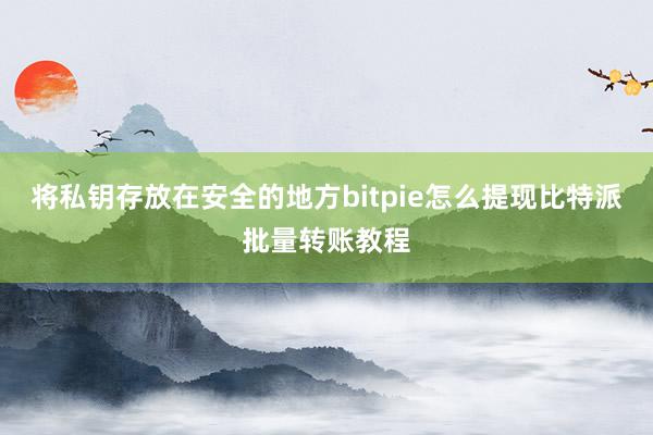 将私钥存放在安全的地方bitpie怎么提现比特派批量转账教程