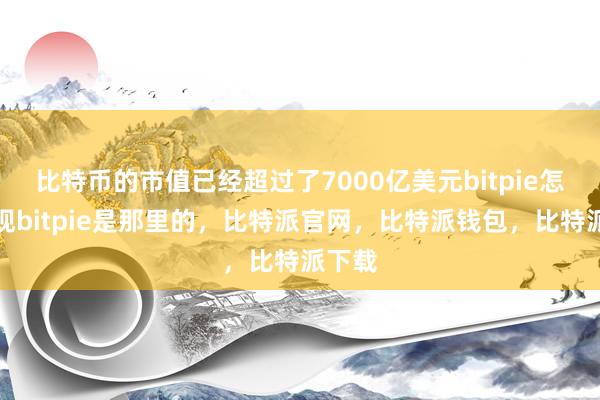 比特币的市值已经超过了7000亿美元bitpie怎么提现bitpie是那里的，比特派官网，比特派钱包，比特派下载