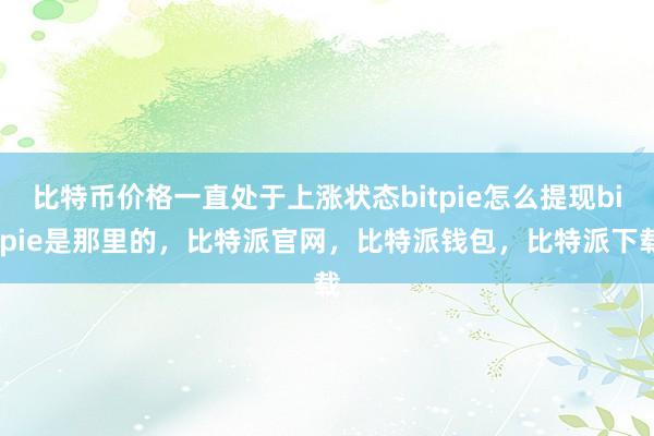 比特币价格一直处于上涨状态bitpie怎么提现bitpie是那里的，比特派官网，比特派钱包，比特派下载