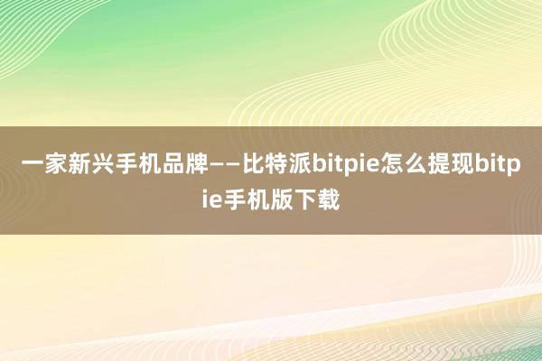 一家新兴手机品牌——比特派bitpie怎么提现bitpie手机版下载