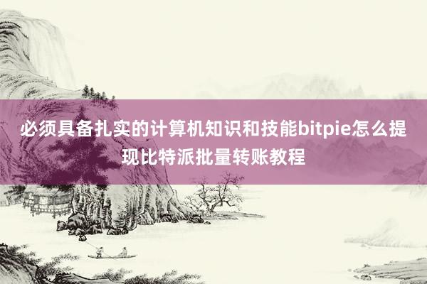 必须具备扎实的计算机知识和技能bitpie怎么提现比特派批量转账教程