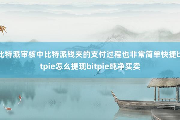 比特派审核中比特派钱夹的支付过程也非常简单快捷bitpie怎么提现bitpie纯净买卖