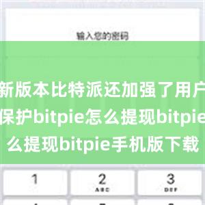 新版本比特派还加强了用户的隐私保护bitpie怎么提现bitpie手机版下载