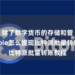 除了数字货币的存储和管理bitpie怎么提现比特派批量转账教程