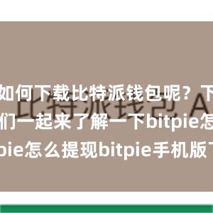 如何下载比特派钱包呢？下面就让我们一起来了解一下bitpie怎么提现bitpie手机版下载